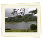 Athirapilly waterfalls , Munnar , Alleppey houseboat , Kovalam tour package