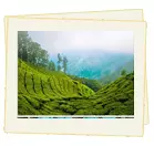 Melody of Kerala