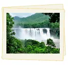 Athirapilly waterfalls tour with munnar and houseboat