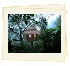 Kerala Treehouse package