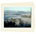 South Indian Panoramic, Bangalore - Mysore - Ooty- Wayanad - Calicut