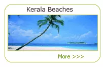 Kerala Beaches