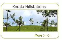 Kerala Hills