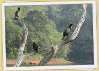 Kerala Destination
