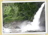 Kerala Waterfalls