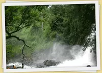 Kerala Wayanad
